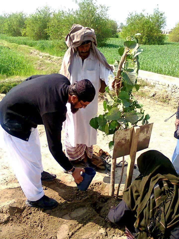 planation
